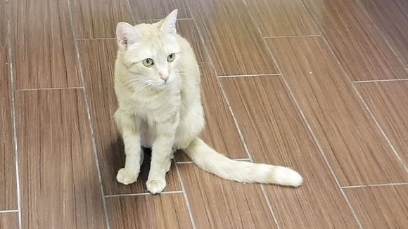 This is her at the Humane Society 
