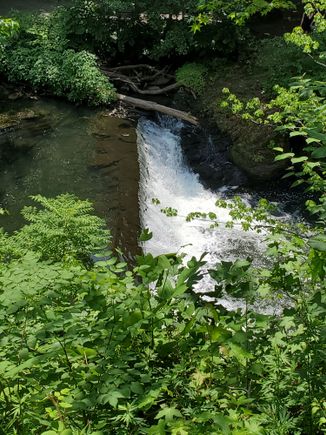 Bronx River waterfall 