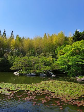 Sankeien garden