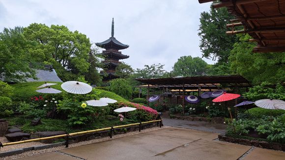The exit of the garden and the five story pagoda beyond