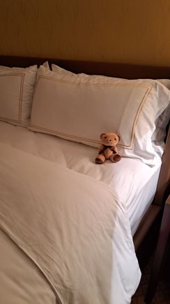 The Conrad Hong kong bear ( larger than the Conrad Tokyo and osaka bears) on the bed