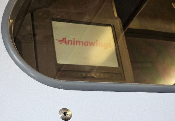 All in all a fun flight with.... Animawings????! 🤣 This aircraft had an identity crisis!