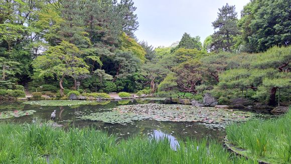 Heian jingu shrine gardens