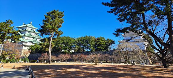 Part of the expansive castle grounds