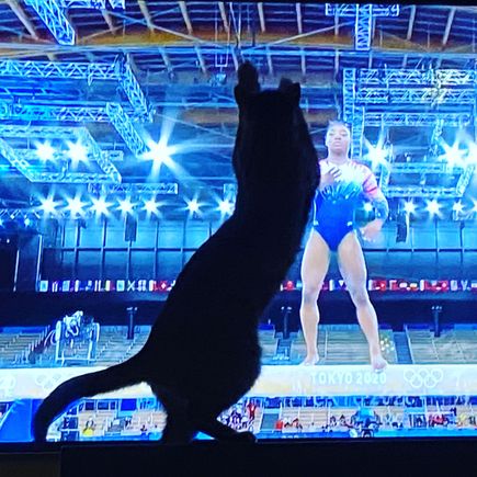 The real reason Simone Biles was able to compete on the beam yesterday.