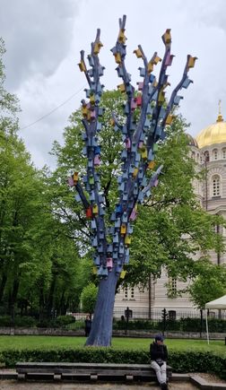No shortage of bird boxes in Riga