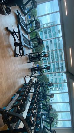 Free weights. Views. Nice. 
