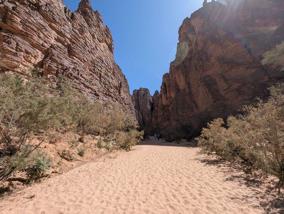 into the canyon