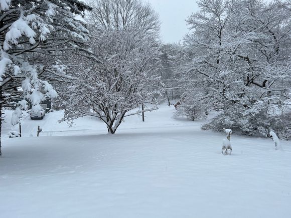 Snow day in Connecticut