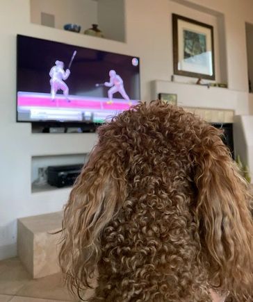 Poppy enjoying the Olympics. 