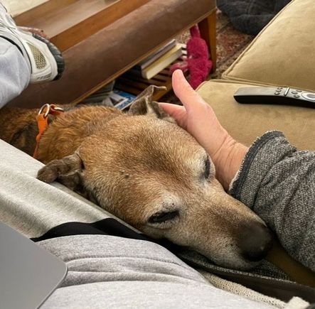 Cody says, “Just leave me alone!”