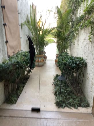View from indoor shower