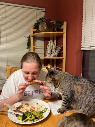Last night we had baked bone in pork chops brushed with bbq sauce and roasted broccoli and Brussels sprouts.  It was so good one of the cats tried to steal my housemate’s chop as she was eating it.