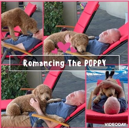 We had weekend guests. One is pretty handy with videos and made one of Poppy being “generous with her favors.”  This is a still from that.  The video is pretty funny. 