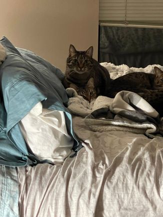 Fred claims he’s just checking in Artemis