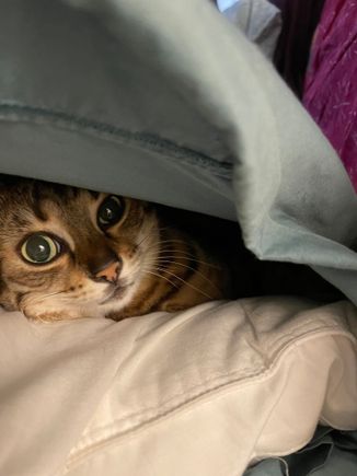 Ariel is not loving the cold here.