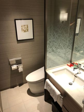 Creepy Japanese toilet that opens when you pass by near it
