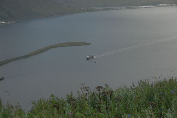 View from Mt. Ballyhoo Road back down to Dutch Harbor spit