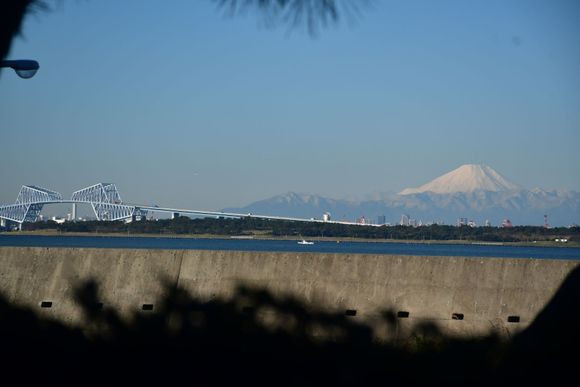 View of Mt Fuji  taken early December 2019 from the terrace of the Celebrio lounge at Hilton Tokyo Bay (for 5 straight days before that whilst I was in central Tokyo ( Hilton) it was overcast and rainy in parts