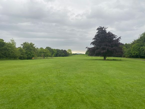 Greens of Kilkenny castle 