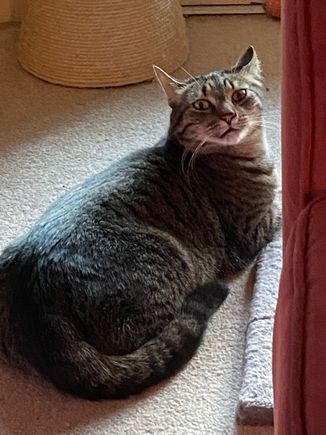 Fred is ready for me to go away again.