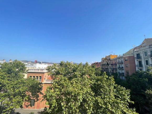 ​​​​​​​View from the suite 