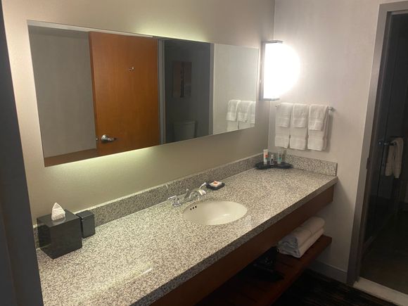 Loews Hollywood Hotel Junior King Suite Bathroom
