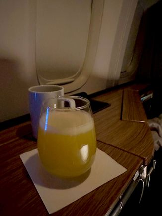 Cheeky Mimosa 