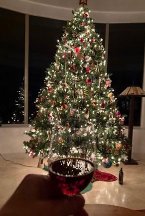 for the last night of the Christmas tree