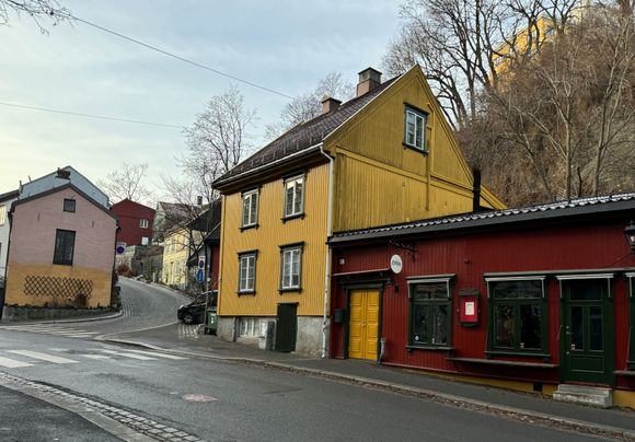 Nektar (tour guide said it’s reportedly the best wine bar in Norway)