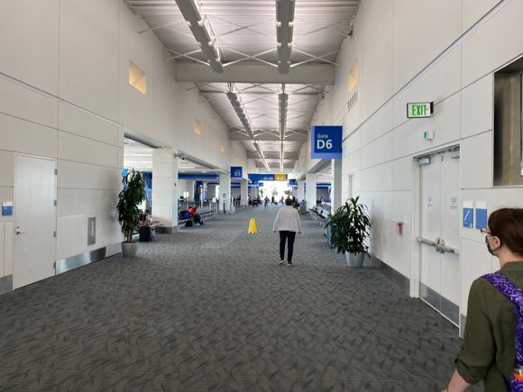 The last bend of the pier - gates D1 - D6, primarily the united gates