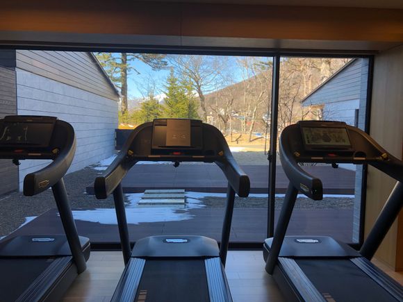 Gym treadmills facing the lake