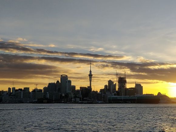 Auckland's skyline