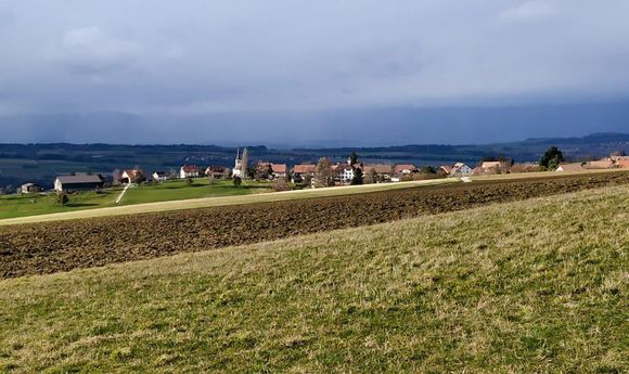 Up in the Vaudois countryside north of Lausanne 