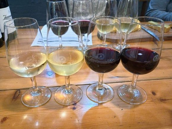 Lovely wines
