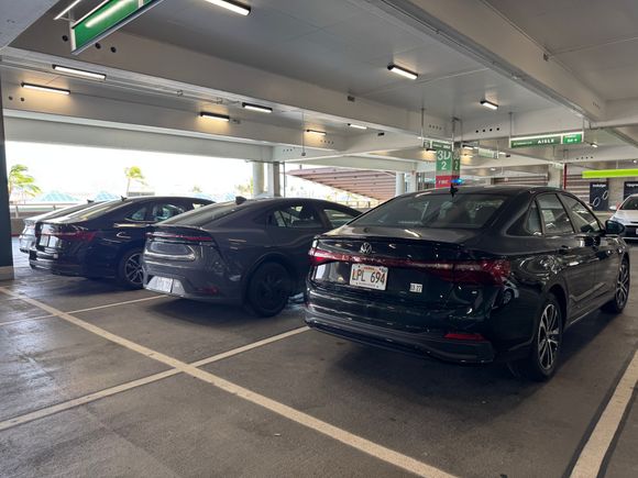 That Jetta is a few months old