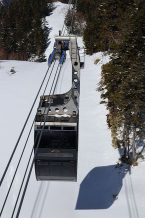 The entire gondola (capacity 85)