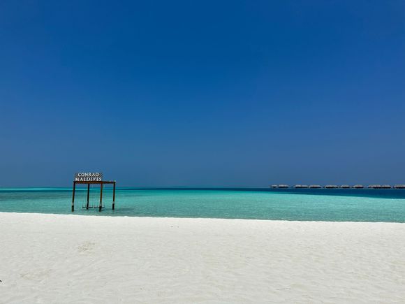 Conrad Maldives swings on the adults only side, next to the pool
