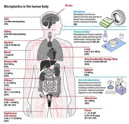 Nanoplastics!
