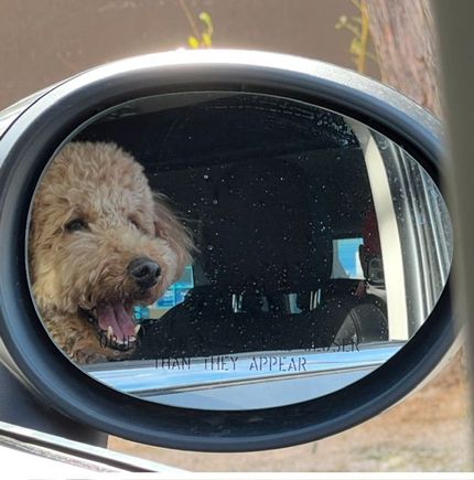Waiting for dad in the car with Uncle Gordon!