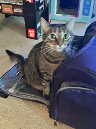 Made sure to pack the essentials for my trip.