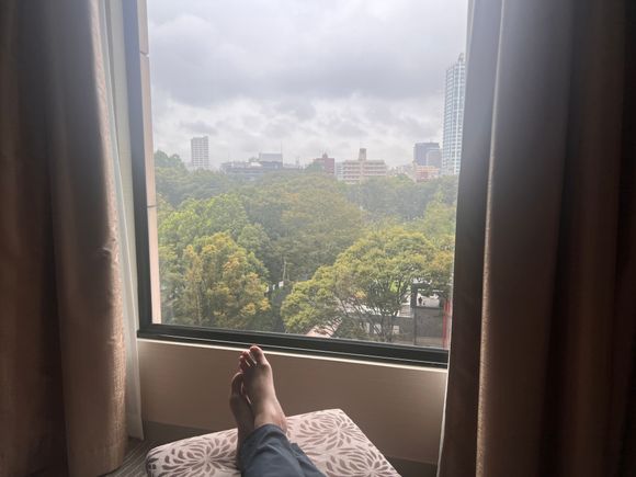 Regency suite view
