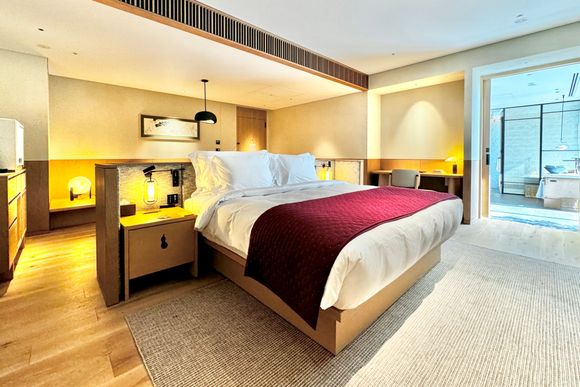 Living/Bedroom