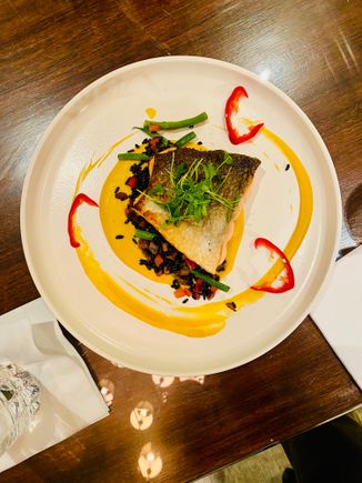 Salmon