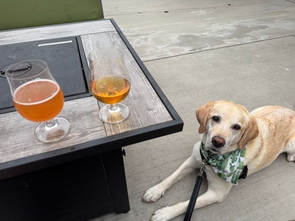 L- strawberry-lime gose
R- west coast IPA