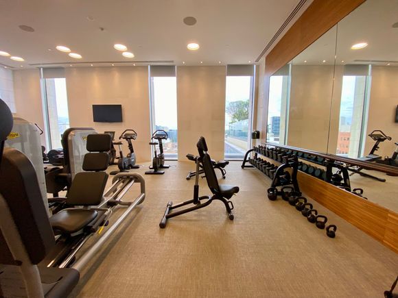 Gym, free weights up to 22 kg