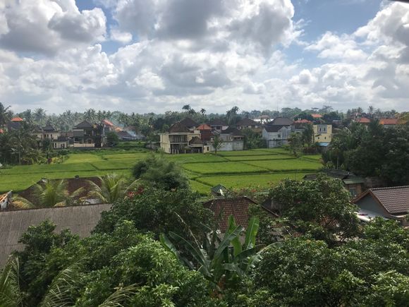 View from Seventh Floor