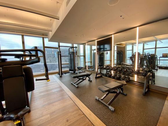 Weight area in the gym