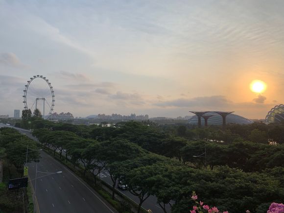 Gardens By The Bay
