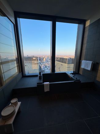 Can I bring this tub and view back home in my luggage